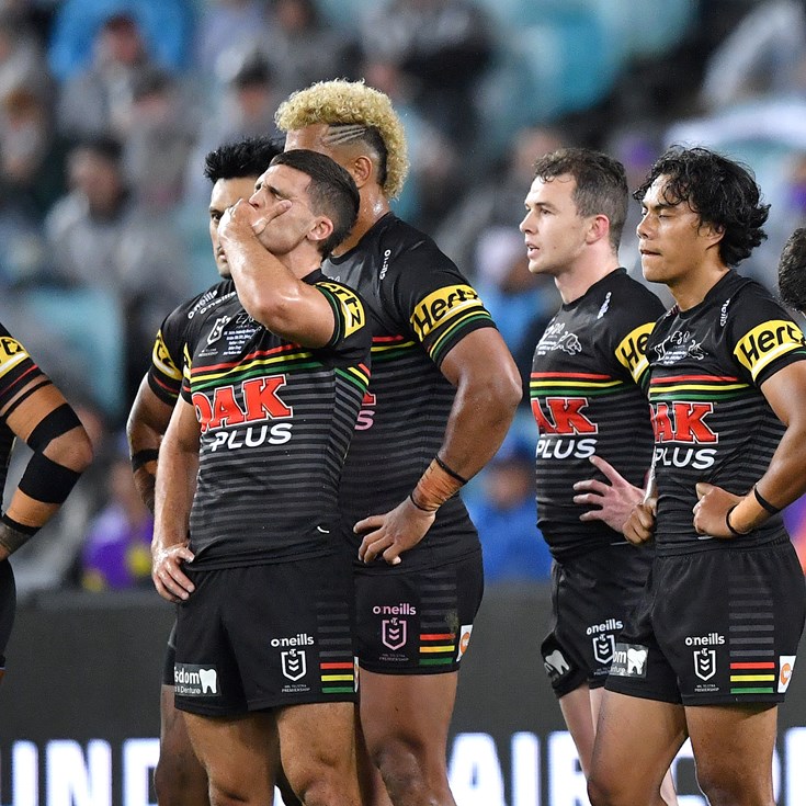 'Awakening a monster': Storm's role in Panthers success