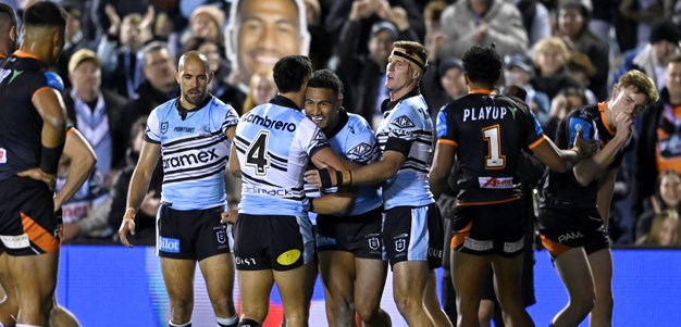 Mulitalo scores a hat-trick as Sharks maul Tigers