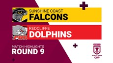 Falcons vs. Dolphins highlights