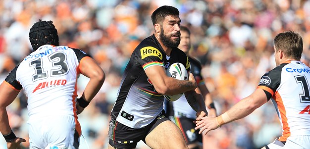 No Roosters weakness: Tamou