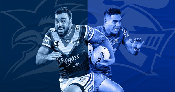 NRL 2021: Sydney Roosters v Newcastle Knights, round 19 preview | NRL.com